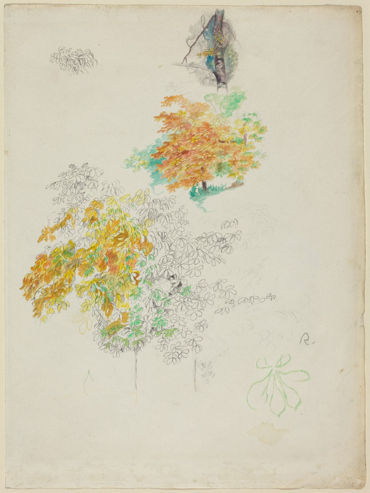 A sheet of tree and foliage studies with individual leaves drawn in ink and pencil, yellow, orange and green washes, and a small trunk study above.